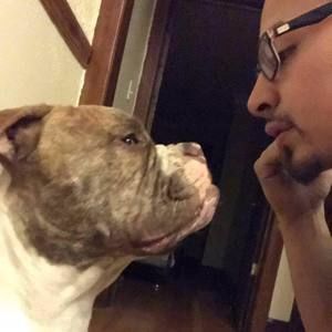 Meet your Posher, Oscar